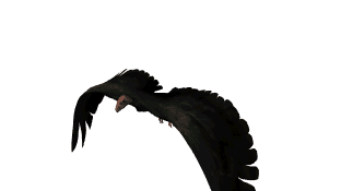 333333333333333333333333333333333333333333333333333333333333